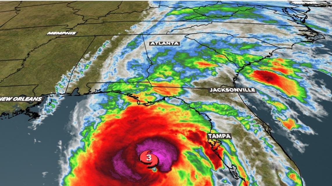 Q ™️ tweet media