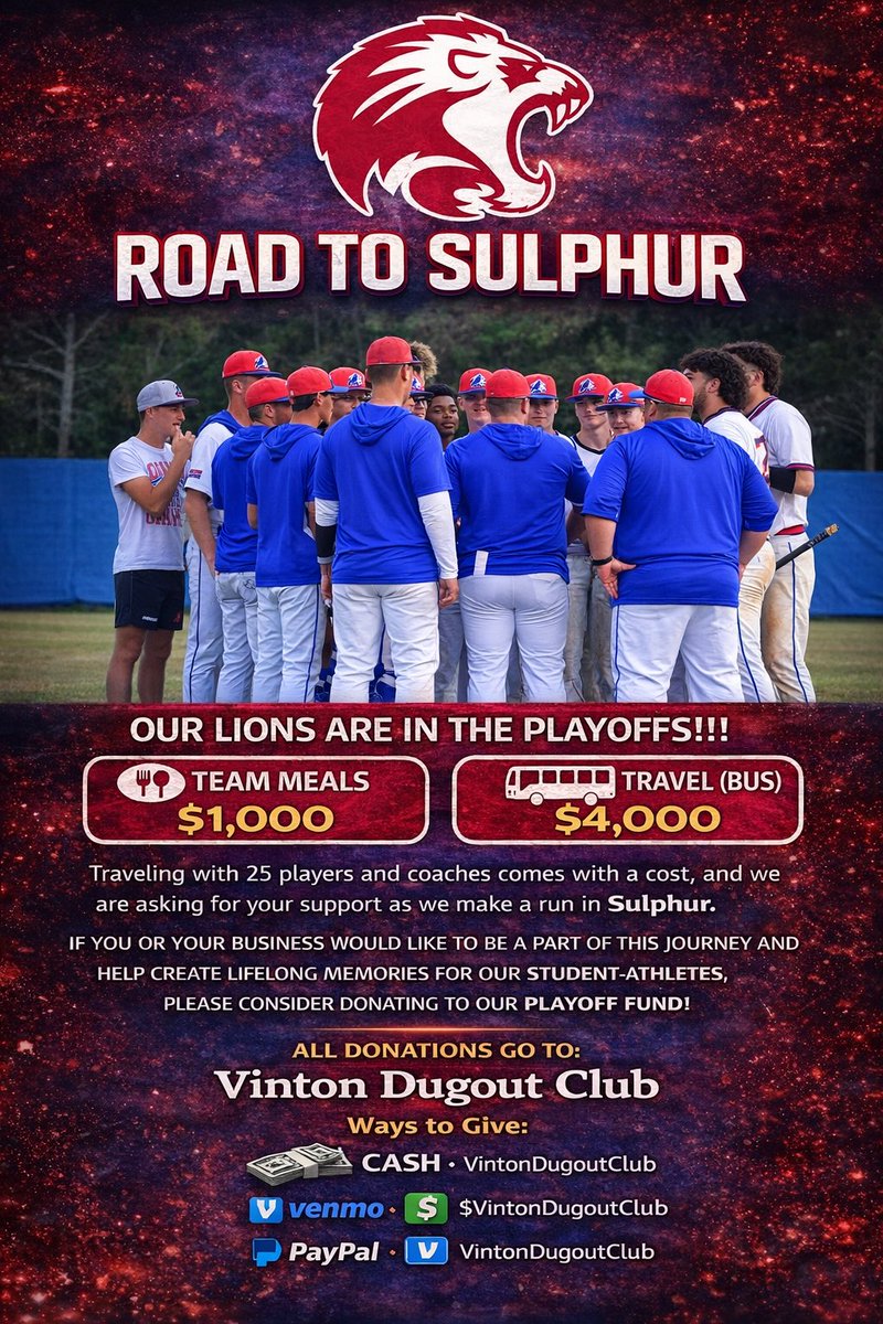 BaseballVinton's tweet photo. We need your help to fund our playoff run!! 🦁⚾️ https://t.co/ptlb5YlSay