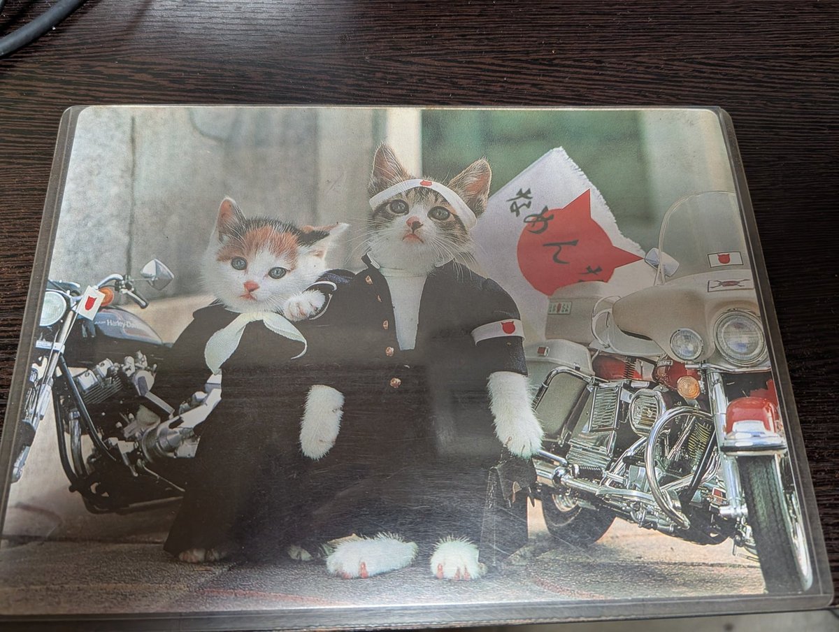 はまち＠終活 tweet media