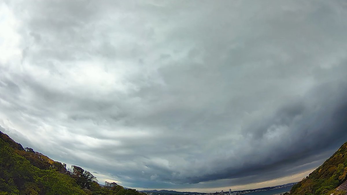 寒雷雨 tweet media