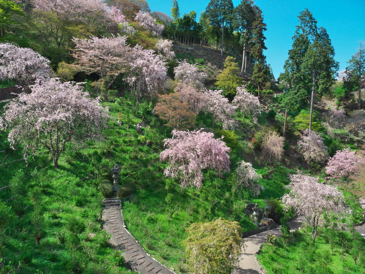 ざんざるぶ tweet media