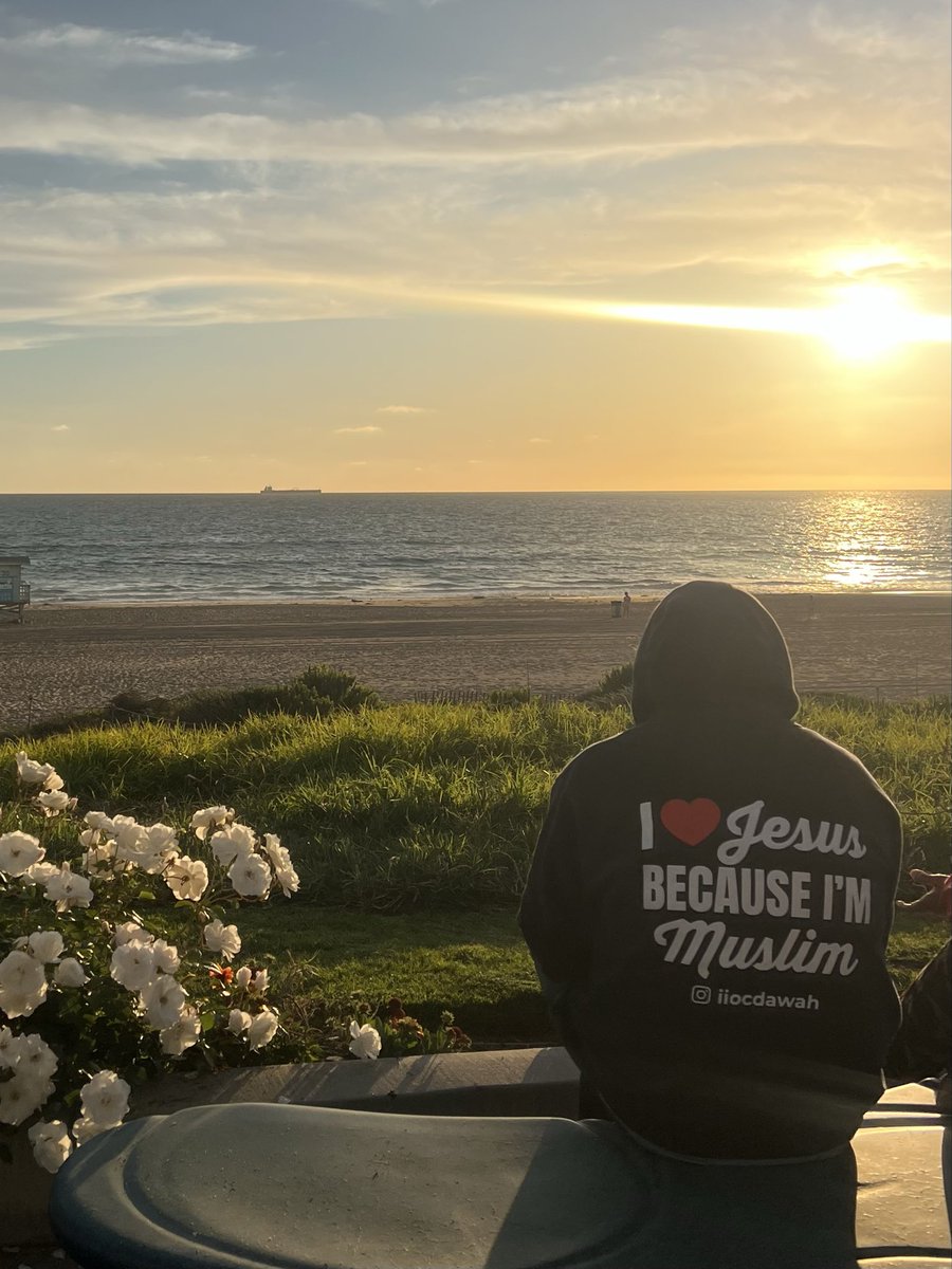 The War on Beauty tweet media