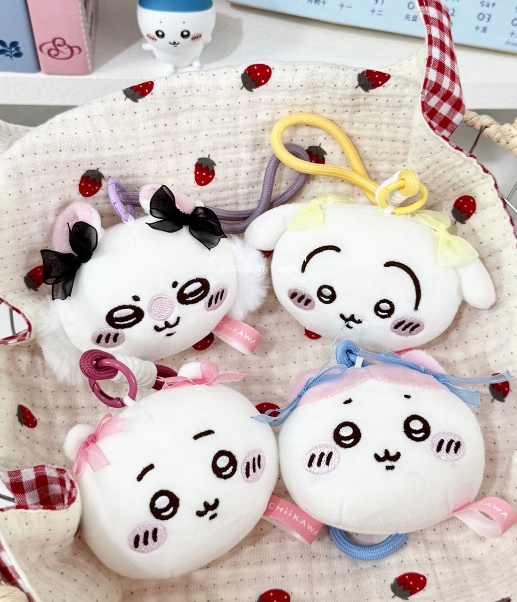 곡선냥이 공구거래계 tweet media