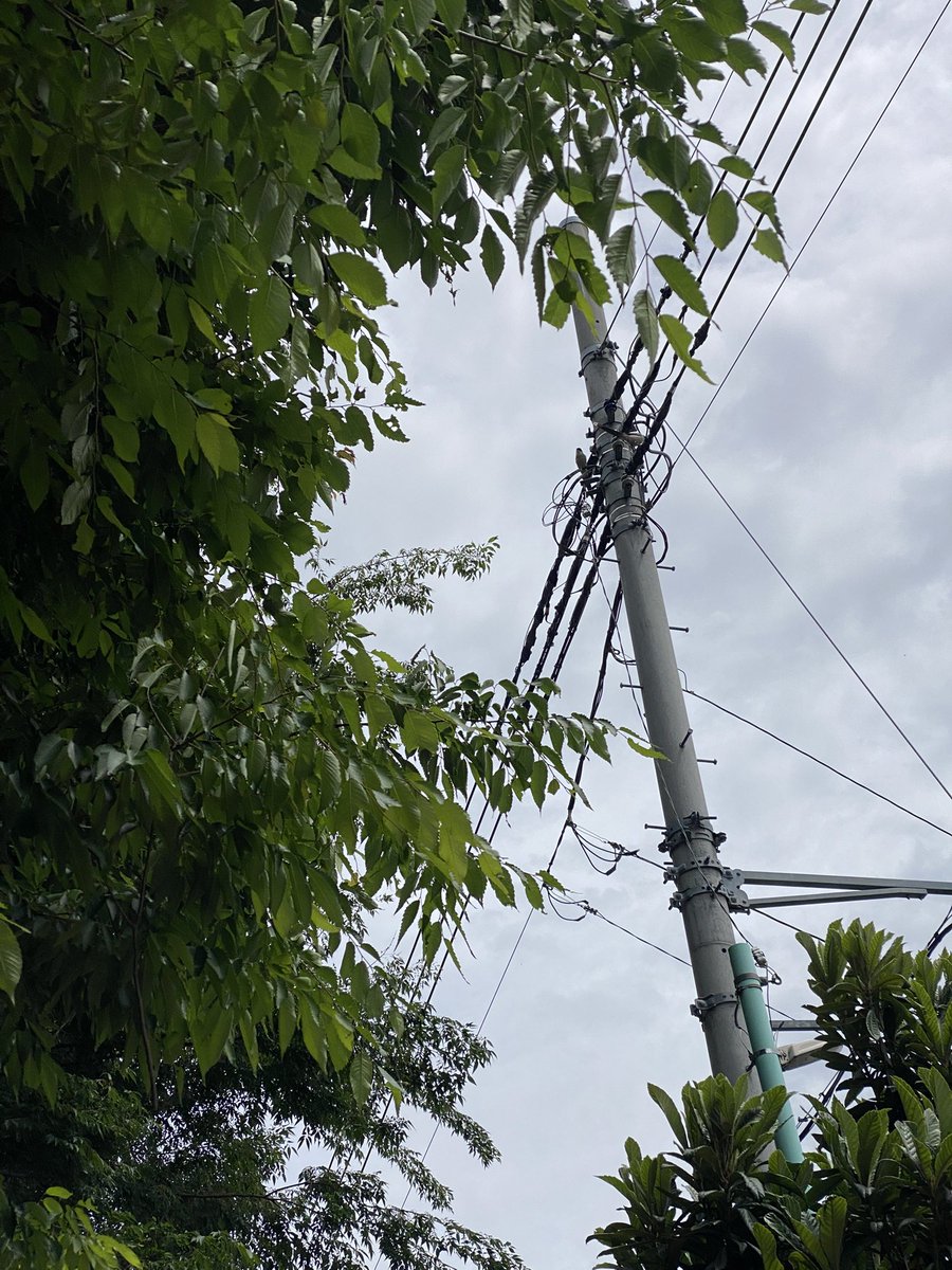 アンダーシュート🍃 tweet media