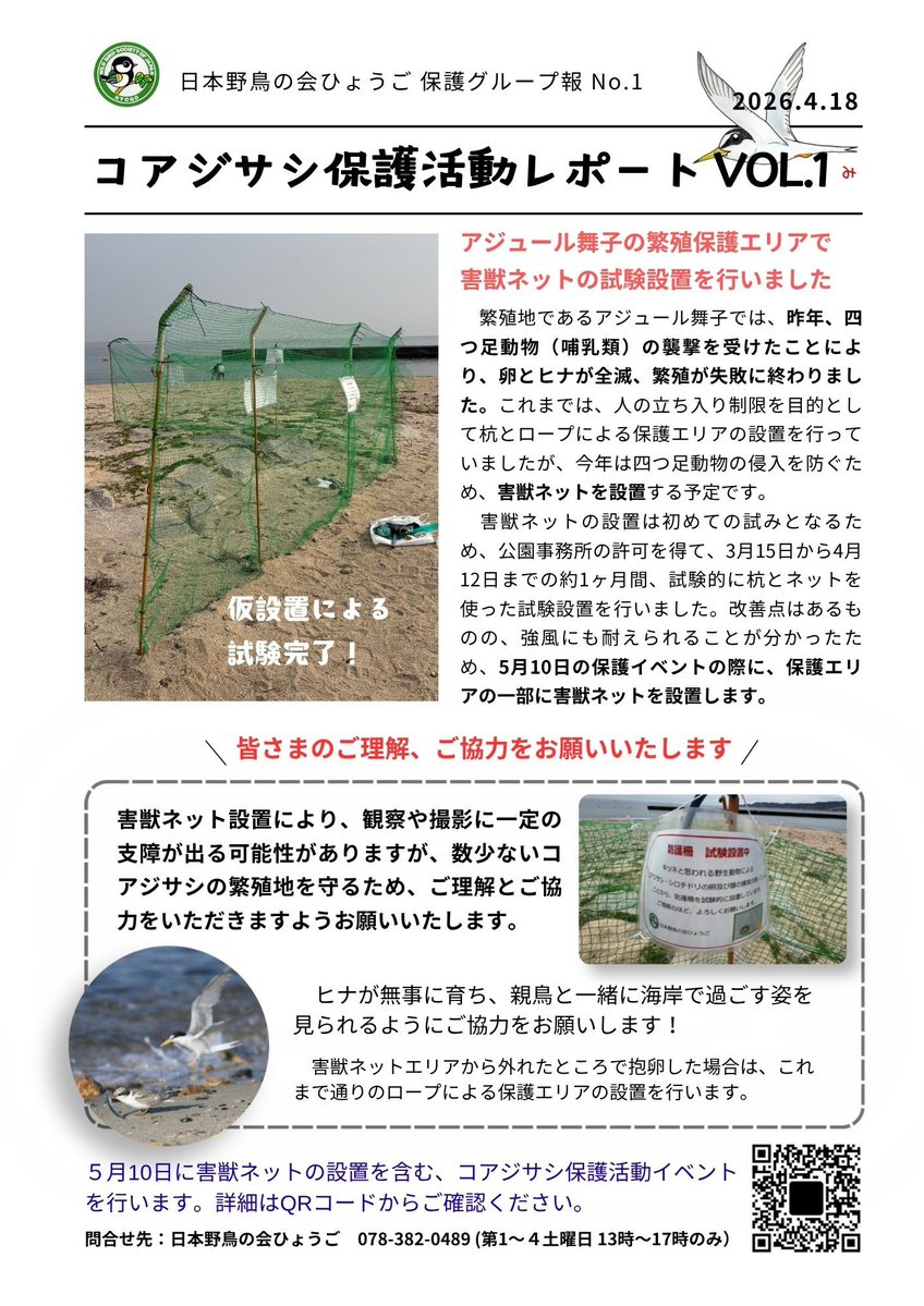 コアジサシ保護活動レポートVol.1を発行しました！
今年は害獣ネットを設置します。皆さまのご協力とご理解をお願いいたします。

wbsj-hyogo-2.sakura.ne.jp/topics/4347/