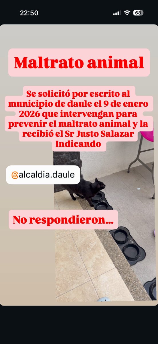 mayriverao's tweet photo. MALTRATO ANIMAL EN GALAXIA VILLA CLUB! 
6 gatitos envenenados!
Ayúdanos a encontrar a los responsables y evitar que envenenen a más! @AlcaldiadeDaule @ComunidLaAurora @biancasalame @PAEecuador @RescateAnimalEC @IgualdadAnimal https://t.co/zVnoBKP0VD