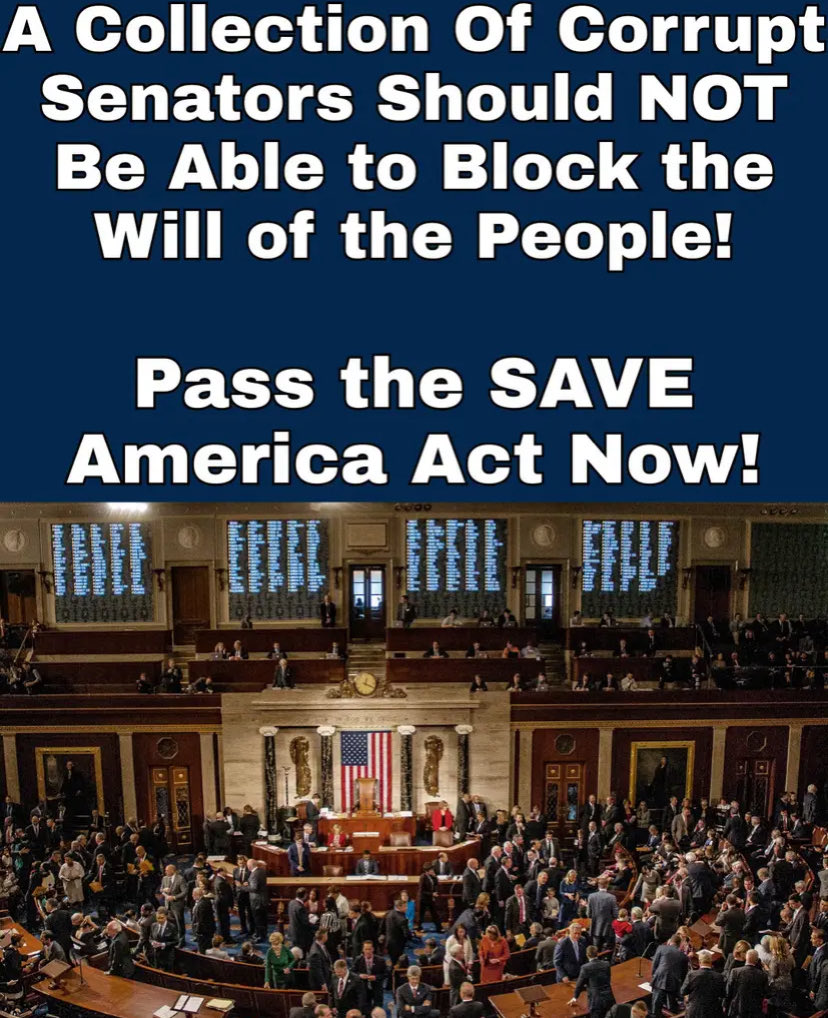 One Bad Dude tweet media