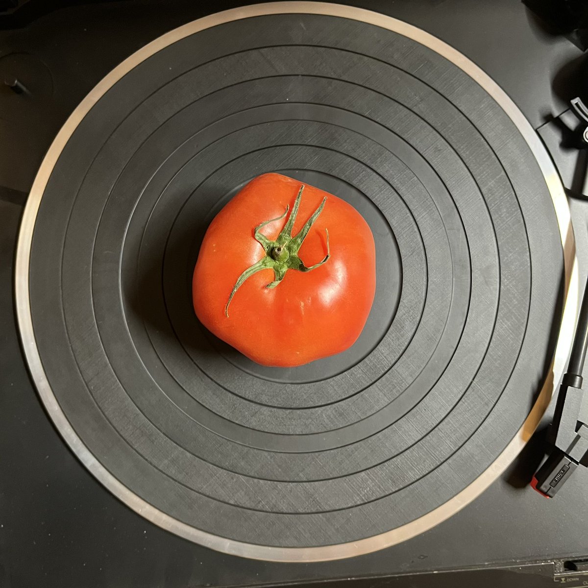 ⚡️🍅Alim🍅⚡️ tweet media