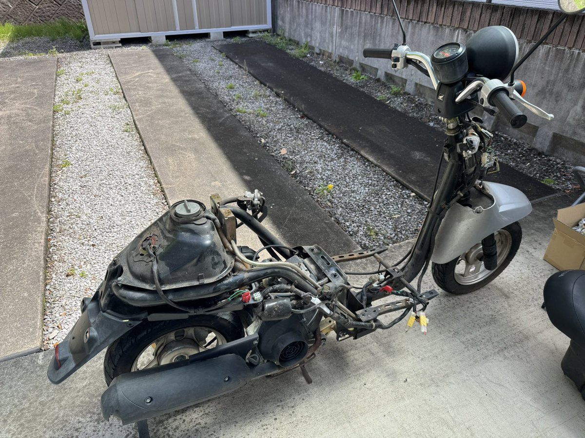 サト🐾バイク乗り卒業しました🐺 tweet media