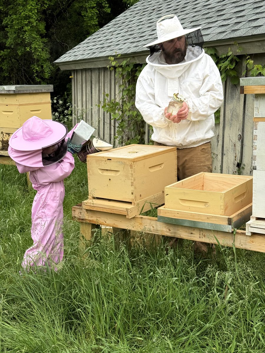 Old Hollow Tree tweet media