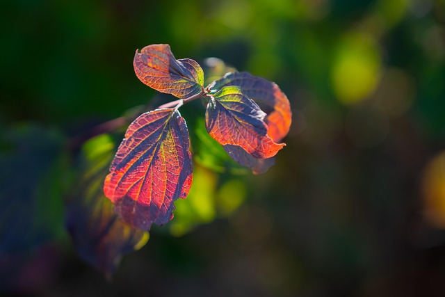 Jeremy Harris tweet media