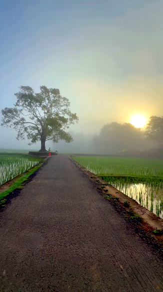 Good morning wishes to all 🥰