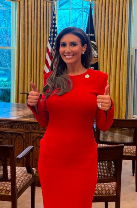 Q ™️ tweet media