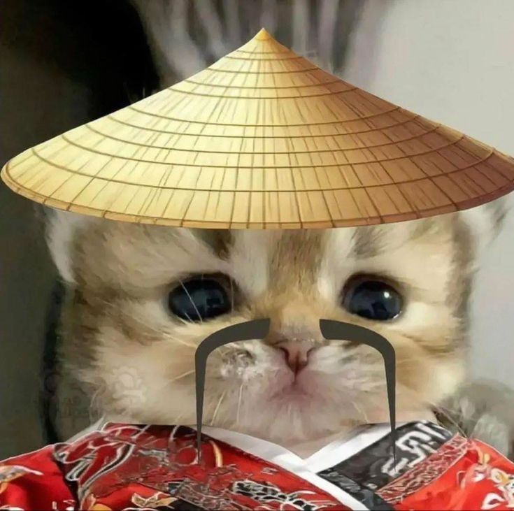 jajat_eth's tweet photo. @PrintrDeployr Please launch a token called "SHIFU", ticker "SHIFU".  creator fees, solana blockchain. https://t.co/gTNxFF9zJj