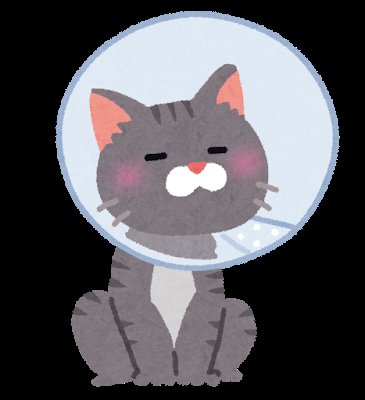 アスターAC tweet media