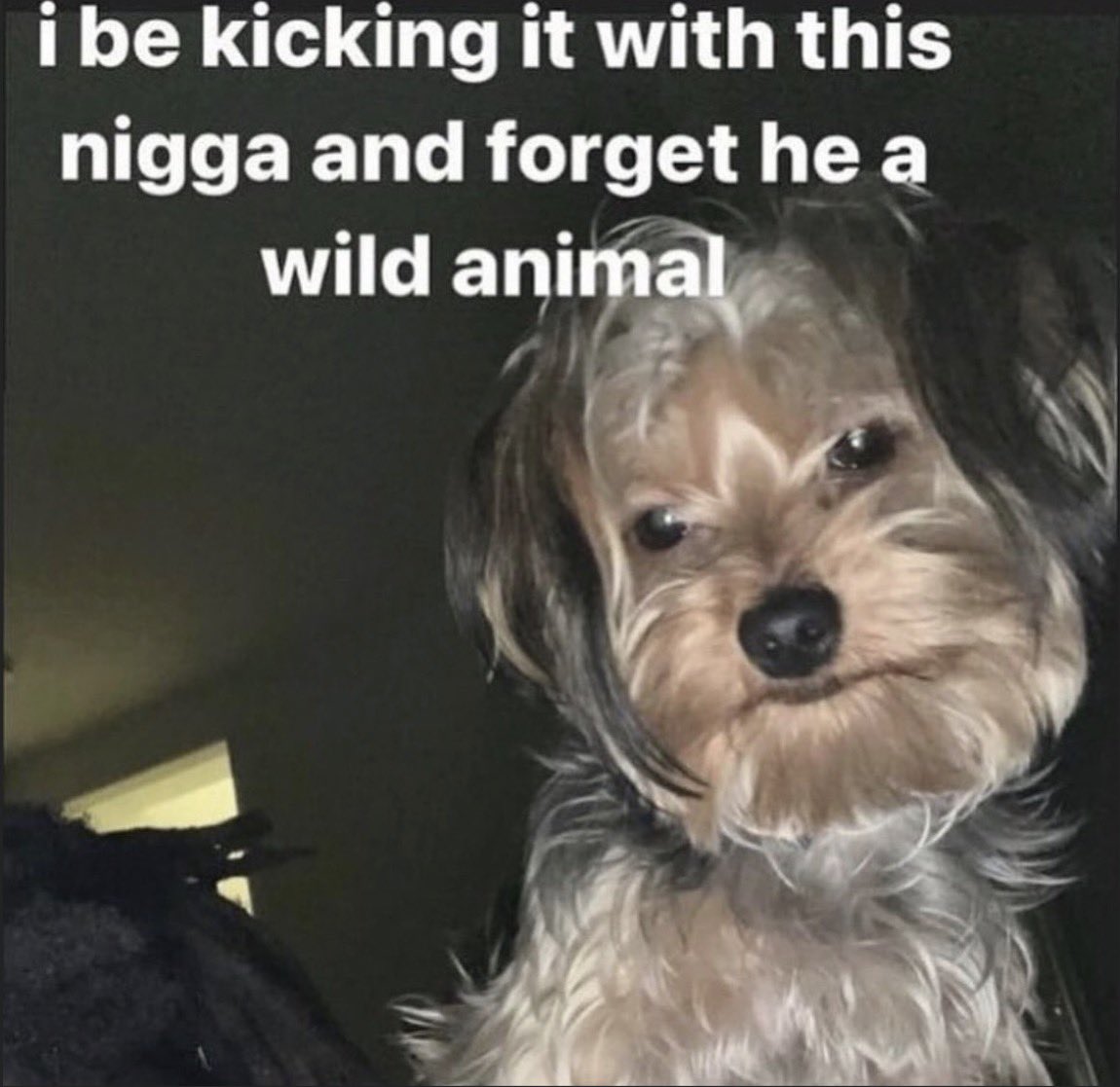 bloutgoggles tweet media