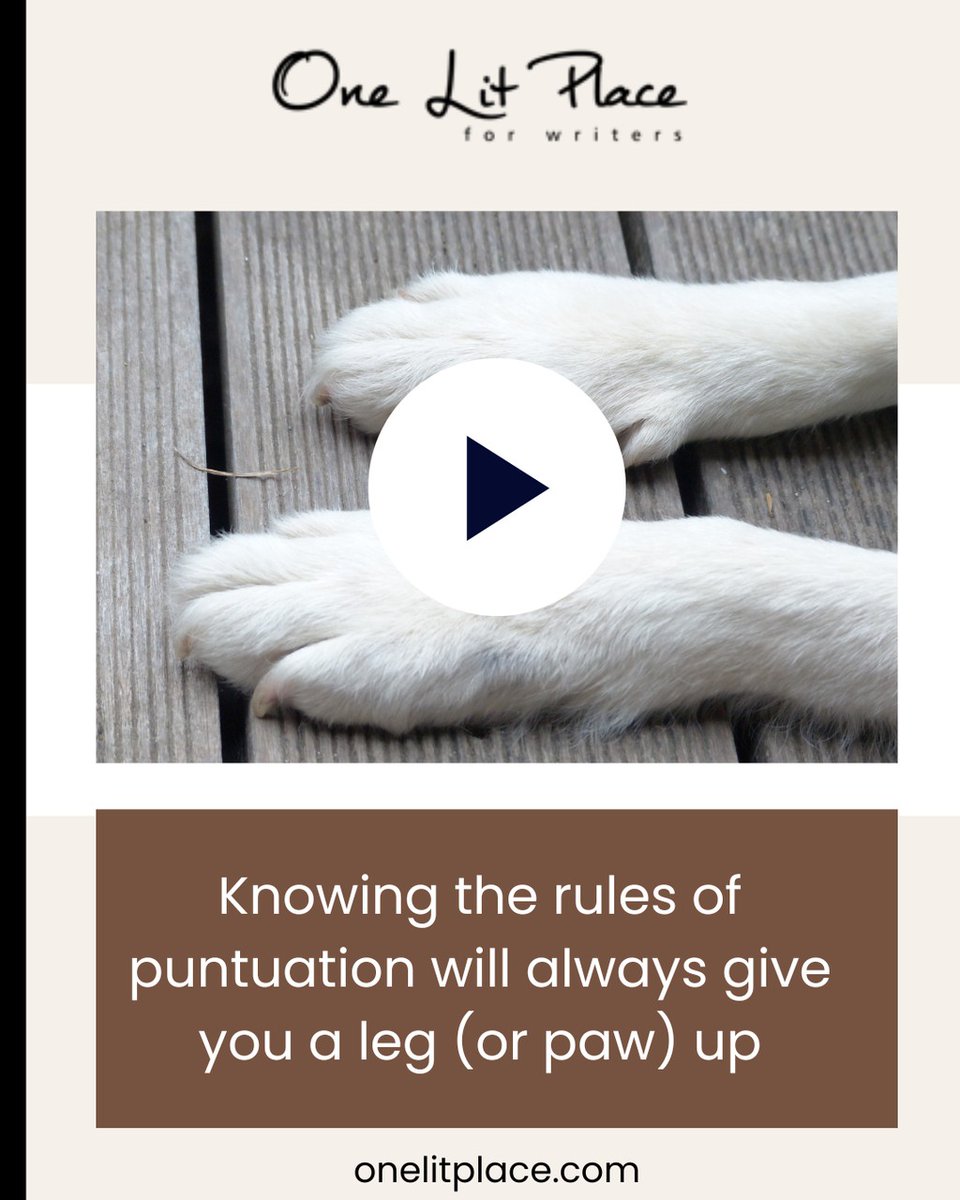 OneLitPlace's tweet photo. Once you know the three reasons you need commas and implement them in your writing, you'll always be perceived as having the greatest authority. Full stop. 
https://t.co/ovGX0Yk5JH

#goodgrammar #clearwriting #SmallBusinessOwner https://t.co/WDPAWCzBSo