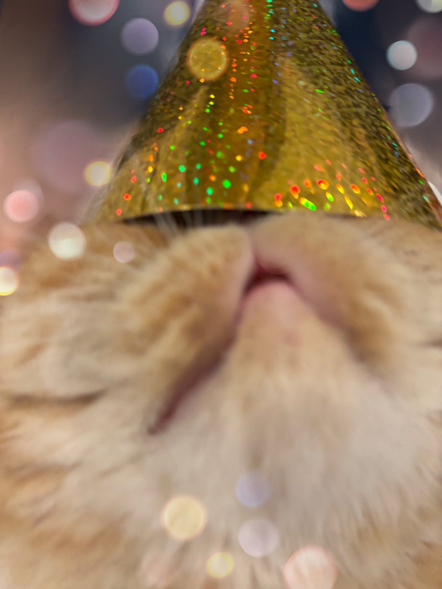 ちょちょもり tweet media