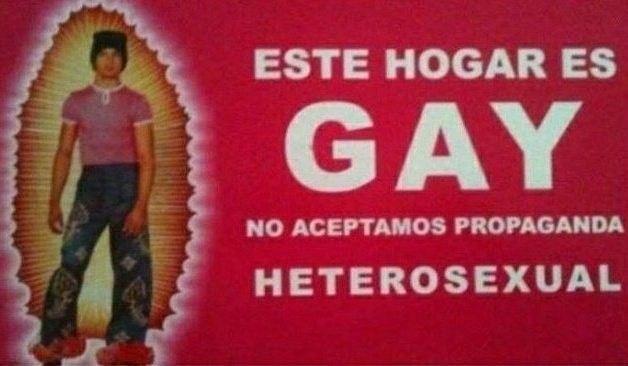 Cocdrilo tweet media