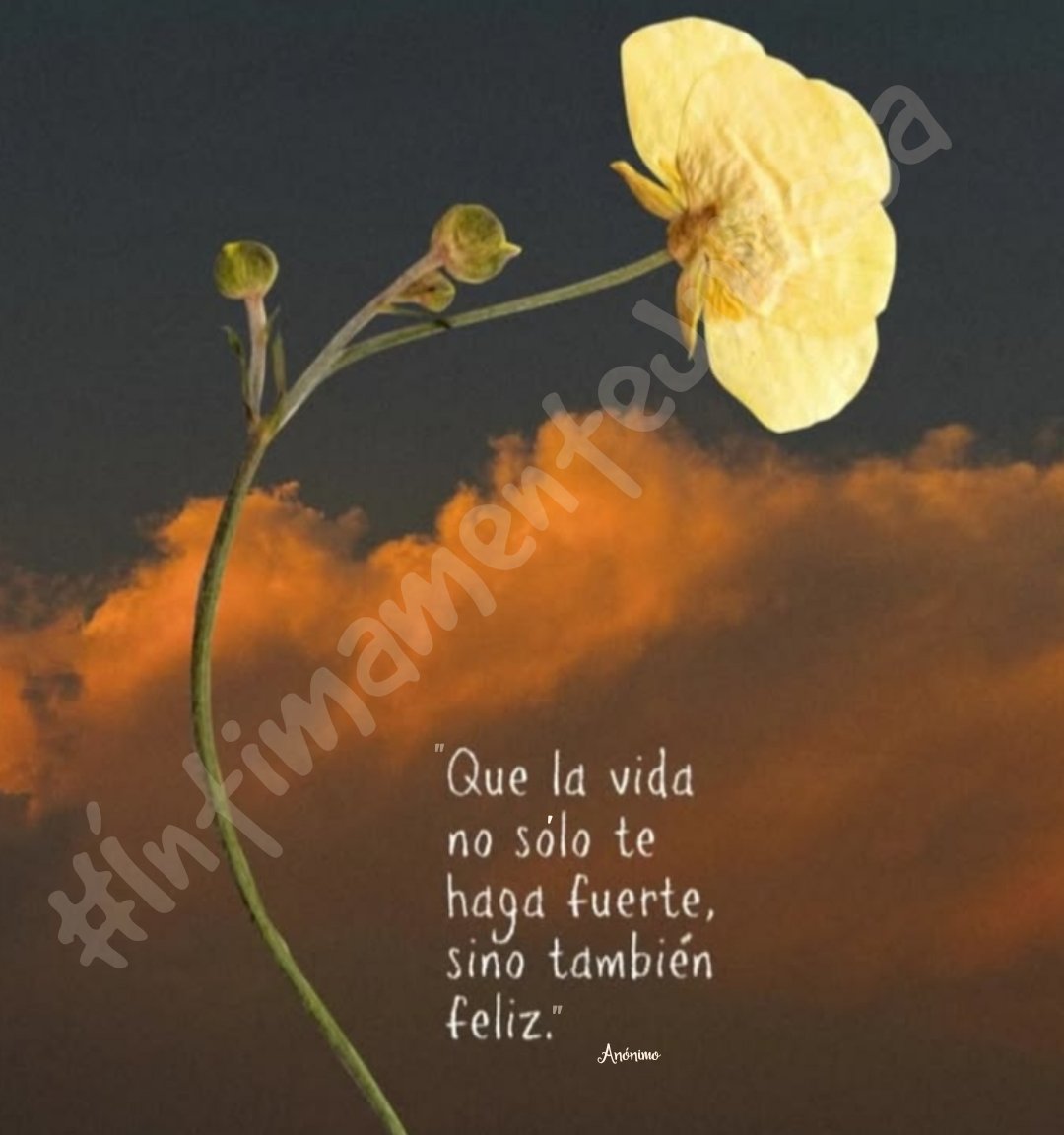 Julissa Martinez tweet media