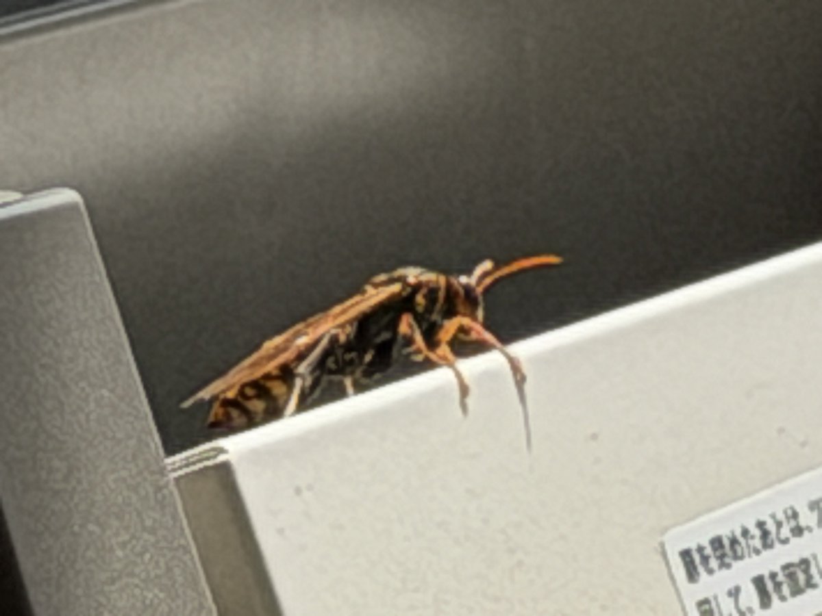 小田急3264F@RA-R & Tc115-1106 tweet media