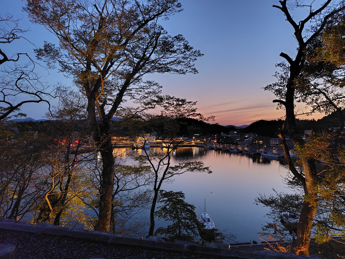 かえるのkermit tweet media