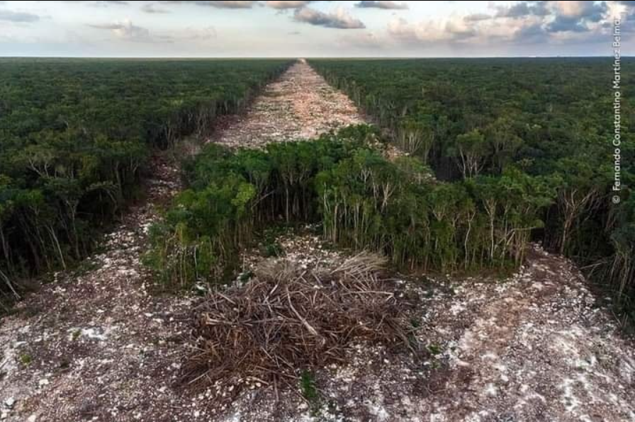 MarthaLuz tweet media