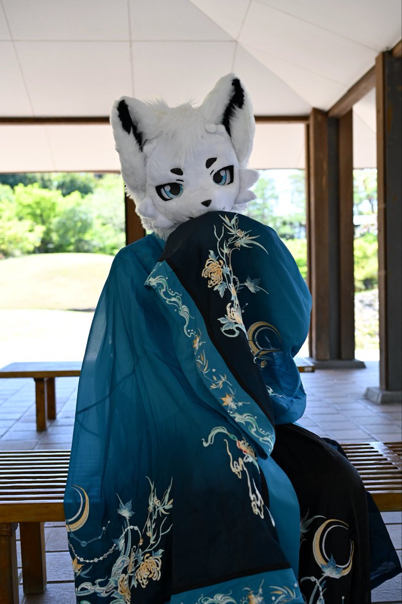 Kohaku_Xiaobai's tweet photo. 腼腆小狗🐕 ͗ ͗

#京けも4 
#FursuitEveryday https://t.co/GjOcu9xC14