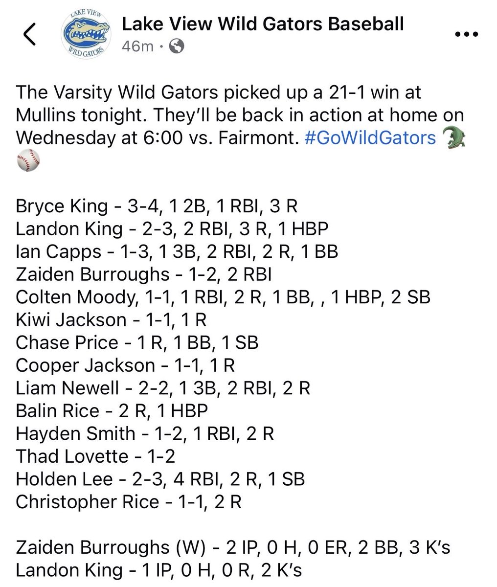 Lake View Baseball tweet media