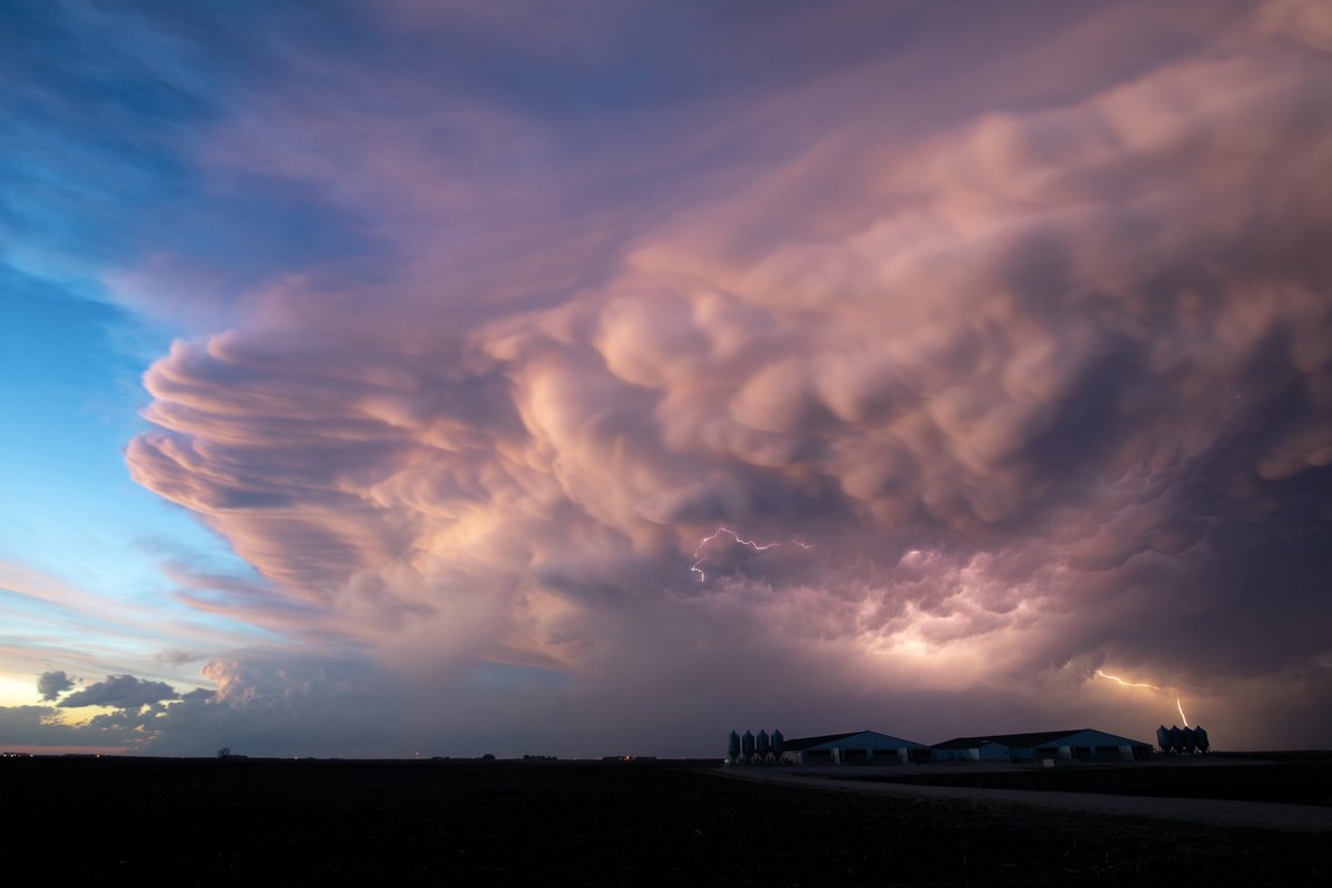 Clarence Smith tweet media