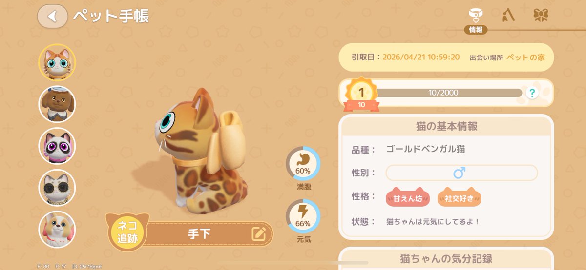 ぱぴこ tweet media