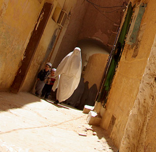 DzayerOffensive tweet media