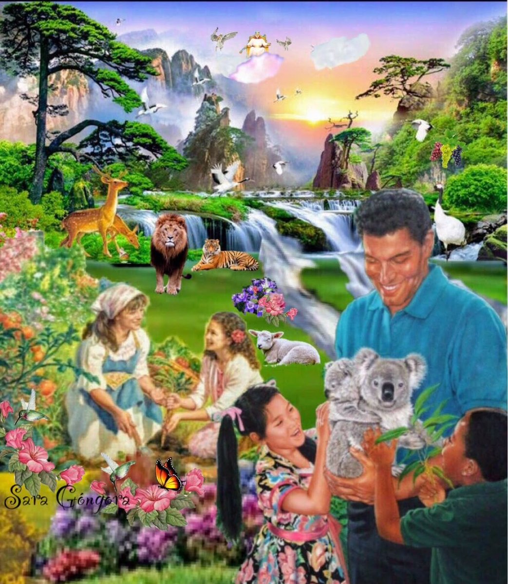 Berti💯Bruno tweet media