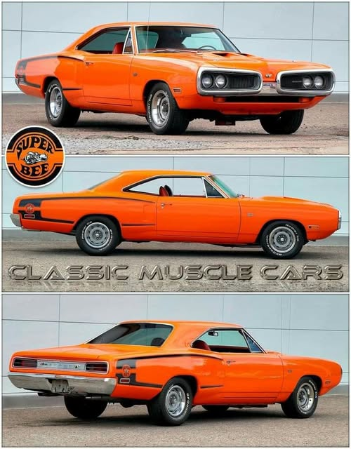 Dodge Charger R/T (1969)
Best Color Combination: Hemi Orange and White
Primary: Hemi Orange with white top
Interior: Black and orange leather
Car📷📷 more Car Lover see other post 📷