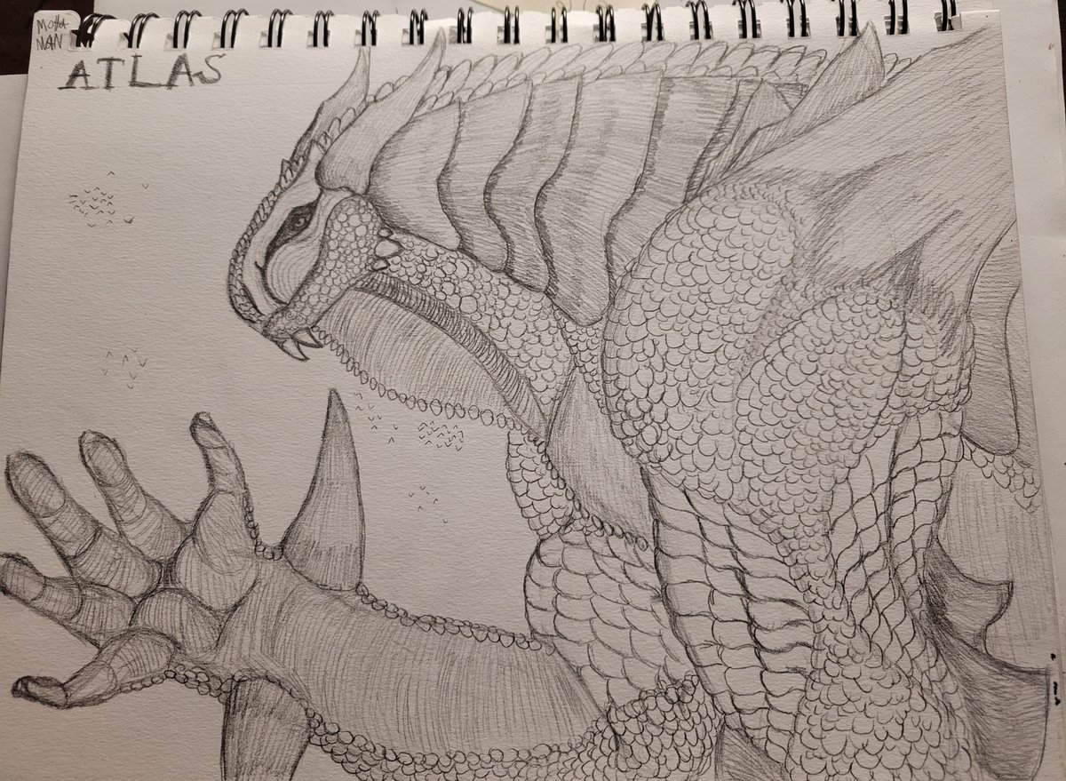 Sr Motaman tweet media