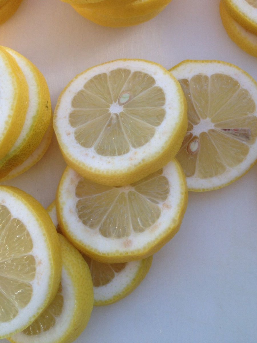 ⚡️🌞 Sol Brah 🌞🐬 tweet media