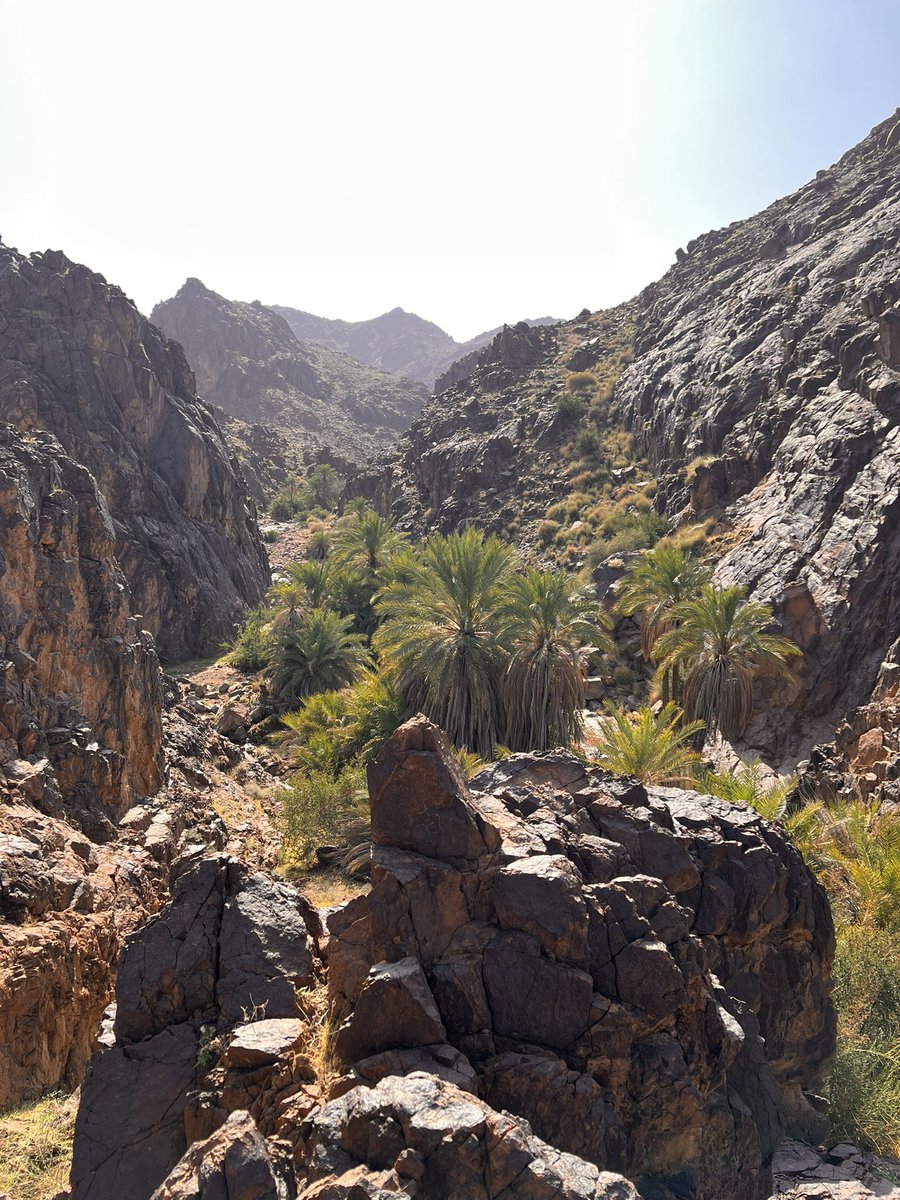 في كل صباح قل لنفسك أنك تستحق أن تكون سعيدًا ، وأن قلبك الذي ذاق مرارة الصبر يستحق أن يرتوي بحلاوة الجبر ، فالله لا ينسى يدًا رُفعت إليه بيقين ، ولا قلبًا أحسن الظن به في عز الانكسار .

#صباح_الخير  🌿🌼