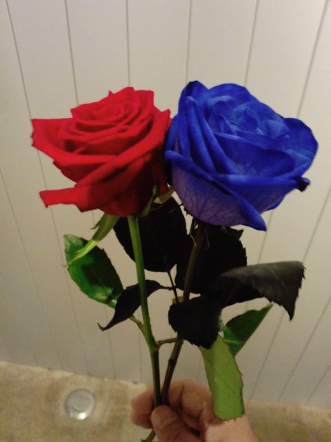 I.N.A.☆hide with Spread Beaver tweet media