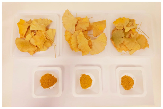 Applsci's tweet image. #highlycited paper
📚Influence of Air Drying, Freeze Drying and Oven #Drying on the Biflavone Content in Yellow Ginkgo (Ginkgo biloba L.) Leaves
🔗mdpi.com/2076-3417/14/6…
👨‍🔬by Iva Jurčević Šangut et al.
🏫University North
#airdrying #biflavonoids