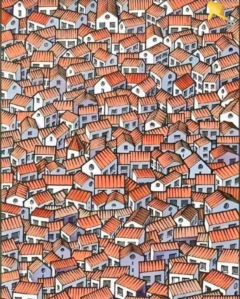 Mr.Straight forward tweet media