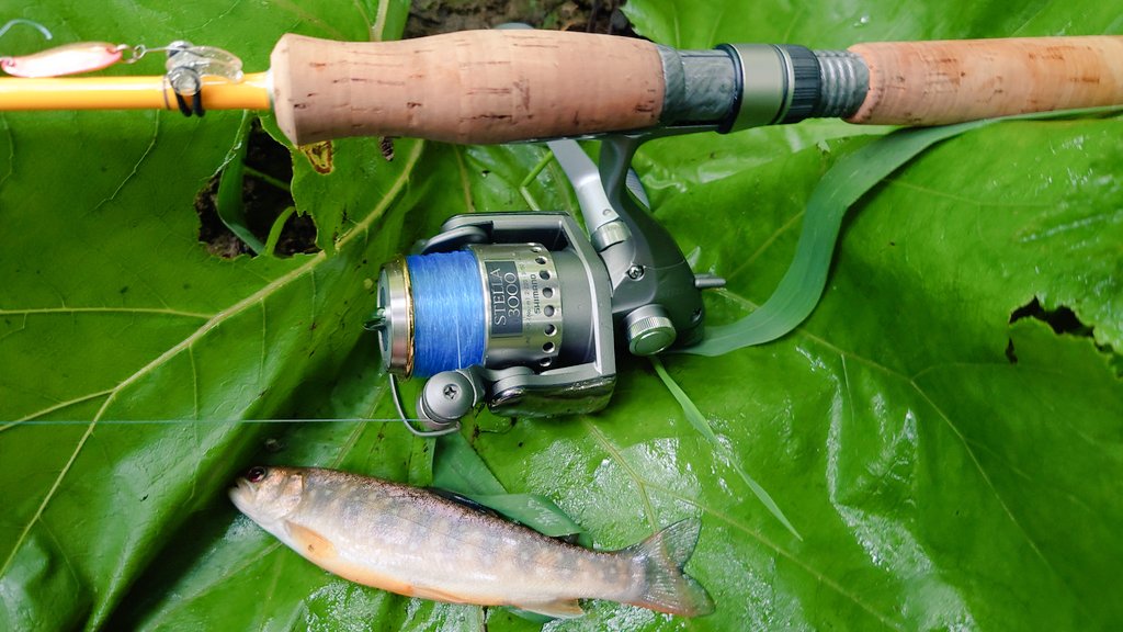 nomodon's tweet image. GWは久しぶりに釣りがしたいけど
山の中はクマが怖いんよねー
でも人が入ってないところまで
いかないと釣れないし、ジレンマ
ま、5.6fの4ピースロッドと
2000番台辺りのスピニングリール
積んでいきますか┐⁠(⁠´⁠ー⁠｀⁠)⁠┌
#フェンヒック
#パームス
#シマノ
#ルアーフィッシング