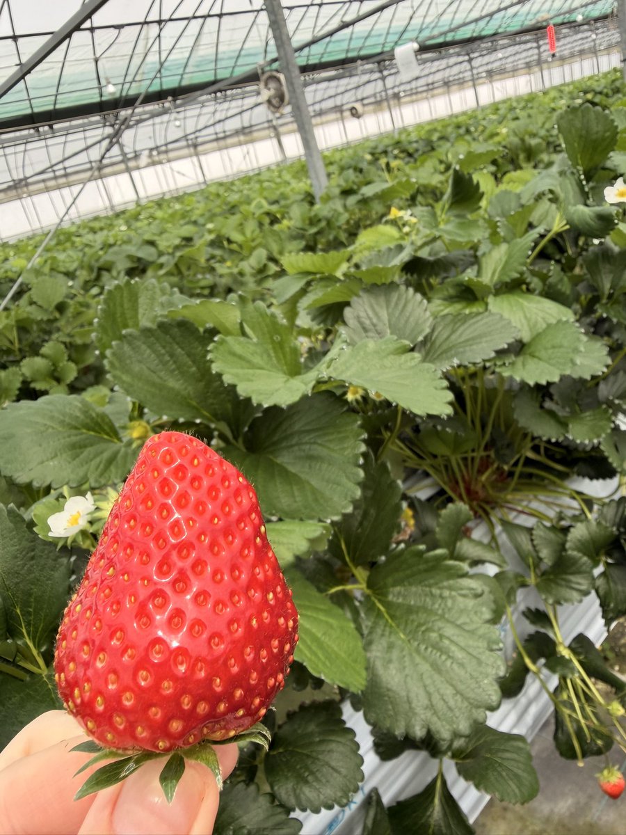 yuka⚡︎⚡︎☻☺︎☻ tweet media