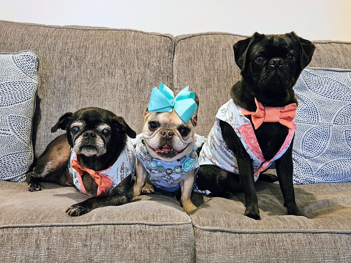 MisterPemberto1's tweet image. Totally RAD!!🤩😎🎸🤟 #the80s...🤣 @mommasboymushu @Margaux28083812