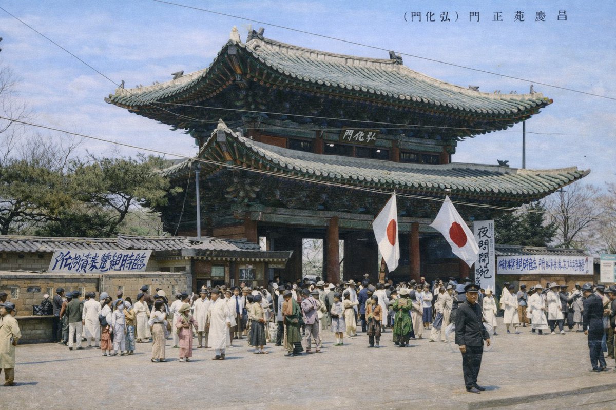 ナユタ🇯🇵🍊 tweet media