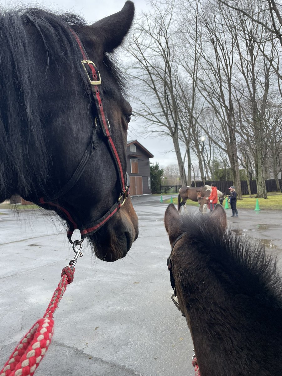 ヴェルサイユファーム株式会社 tweet media