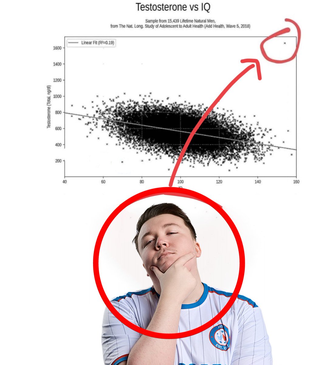 Wildcard tweet media