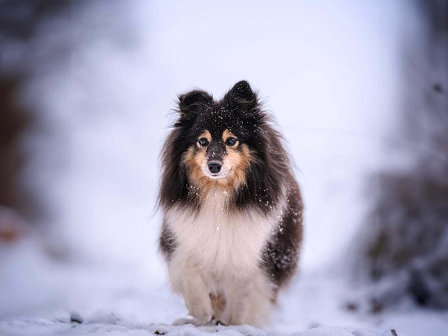 Milton Adrian tweet media