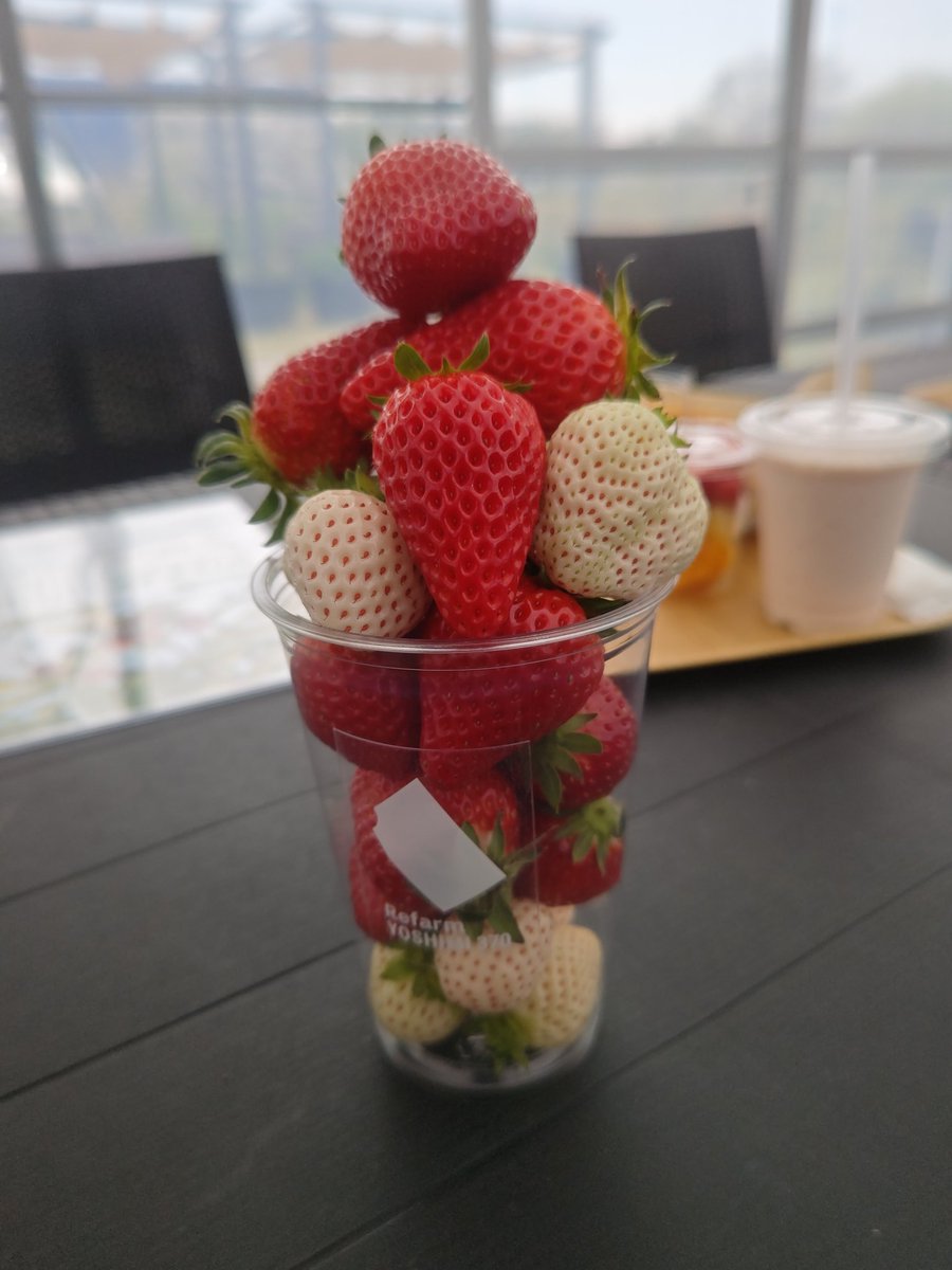 ultraarsene813's tweet photo. Refarm YOSHIMI 370
いちご狩り
雨の日限定セット
いちごの米粉ワッフルサンド
いちごミルクスムージー
めっちゃうまい(^^)
みなさん食べてほしい(^^)
いちご品種は
エンジェルナイト
おいCベリー
ほしうらら
スターナイト
紅ほっぺ
章姫
#田尻町
#Refarm YOSHIMI 370
#いちご狩り https://t.co/KTzYWonIjN