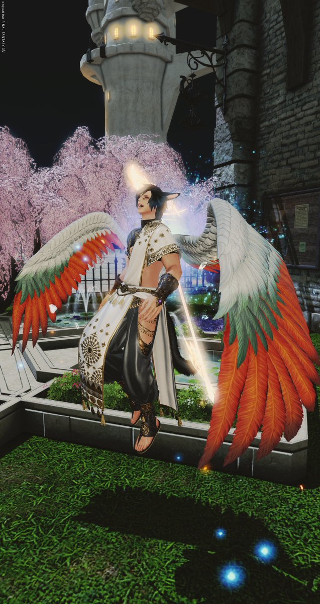 ロット運最弱ちぇるしー😺D4黒＠えれねこだまり tweet media