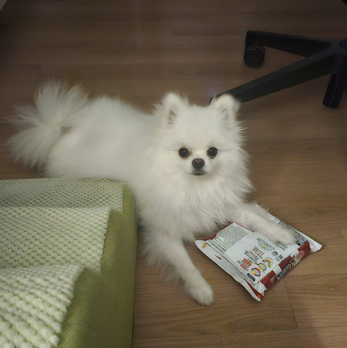 두르강튀아 tweet media